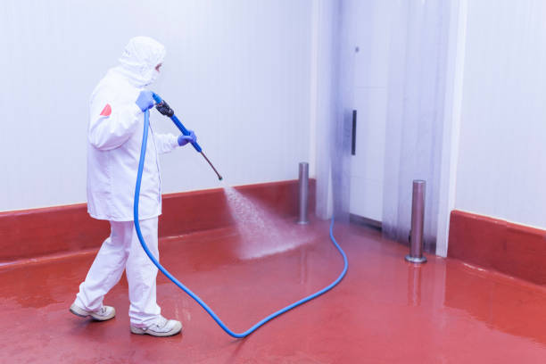 Best Boat and Dock Cleaning  in Shiner, TX