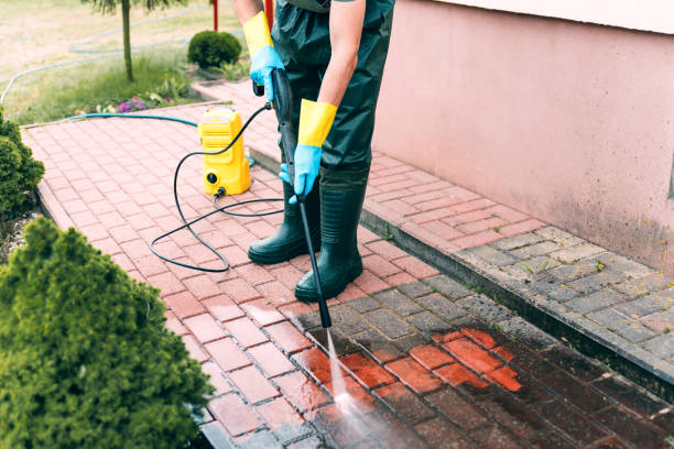 Best Animal Enclosure Cleaning  in Shiner, TX